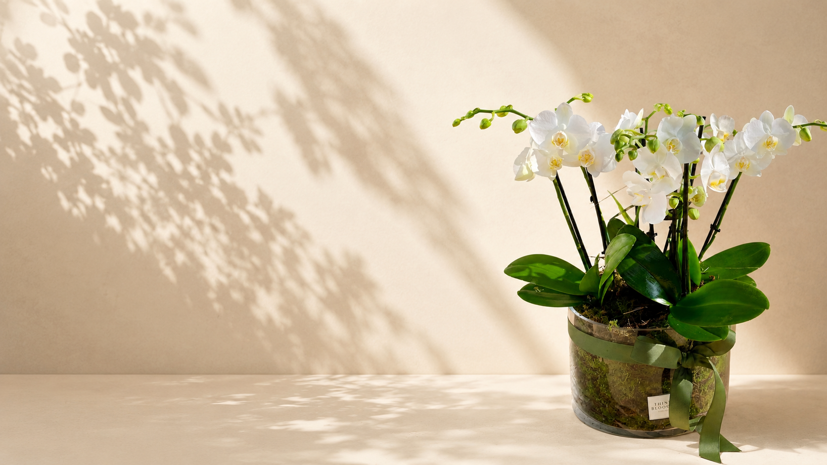 Flowers from $60 to $80
