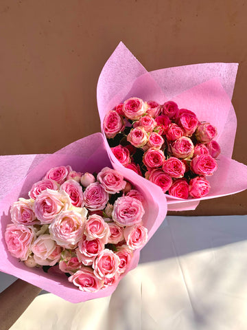Mini Roses