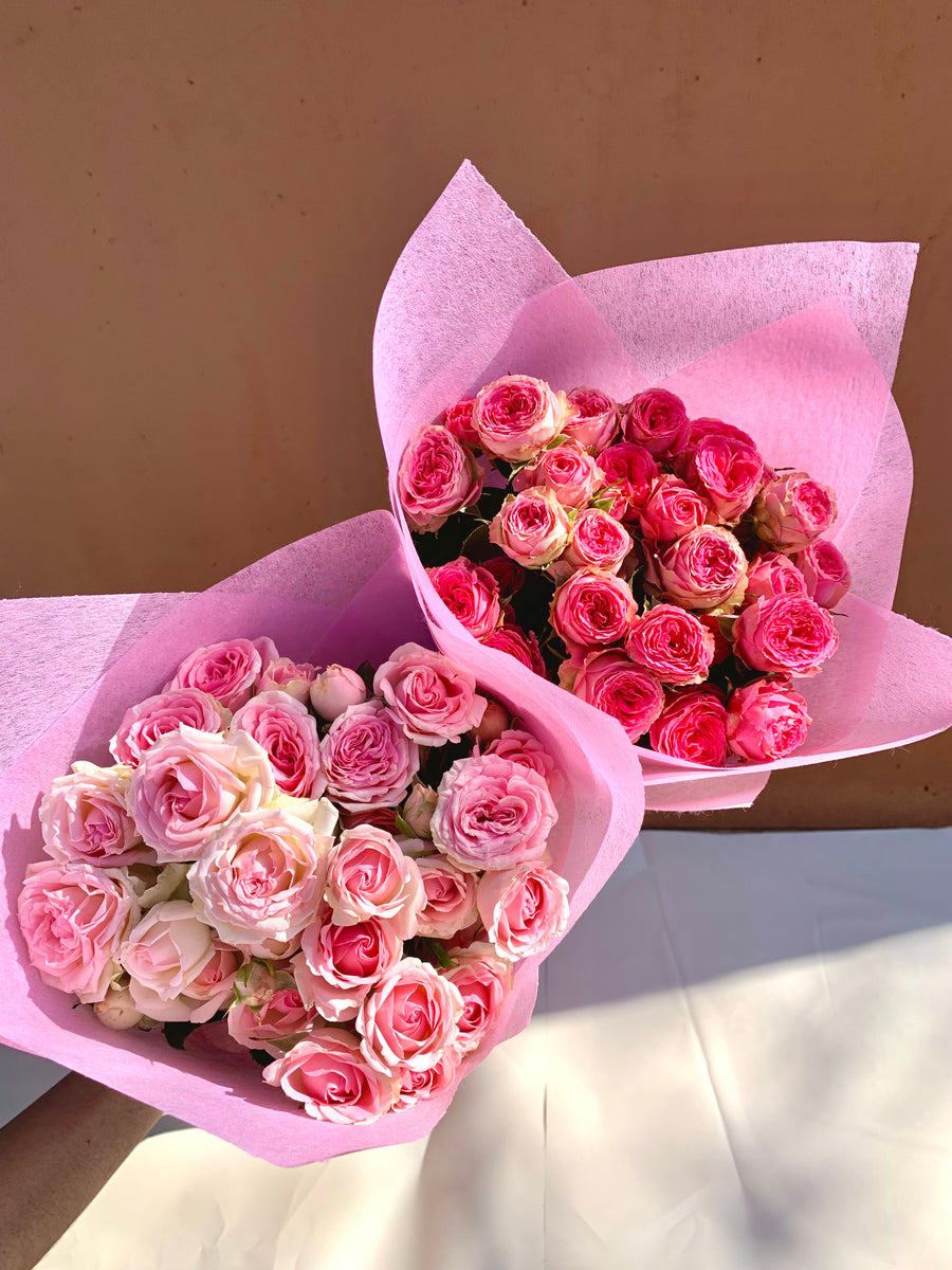 Mini Roses