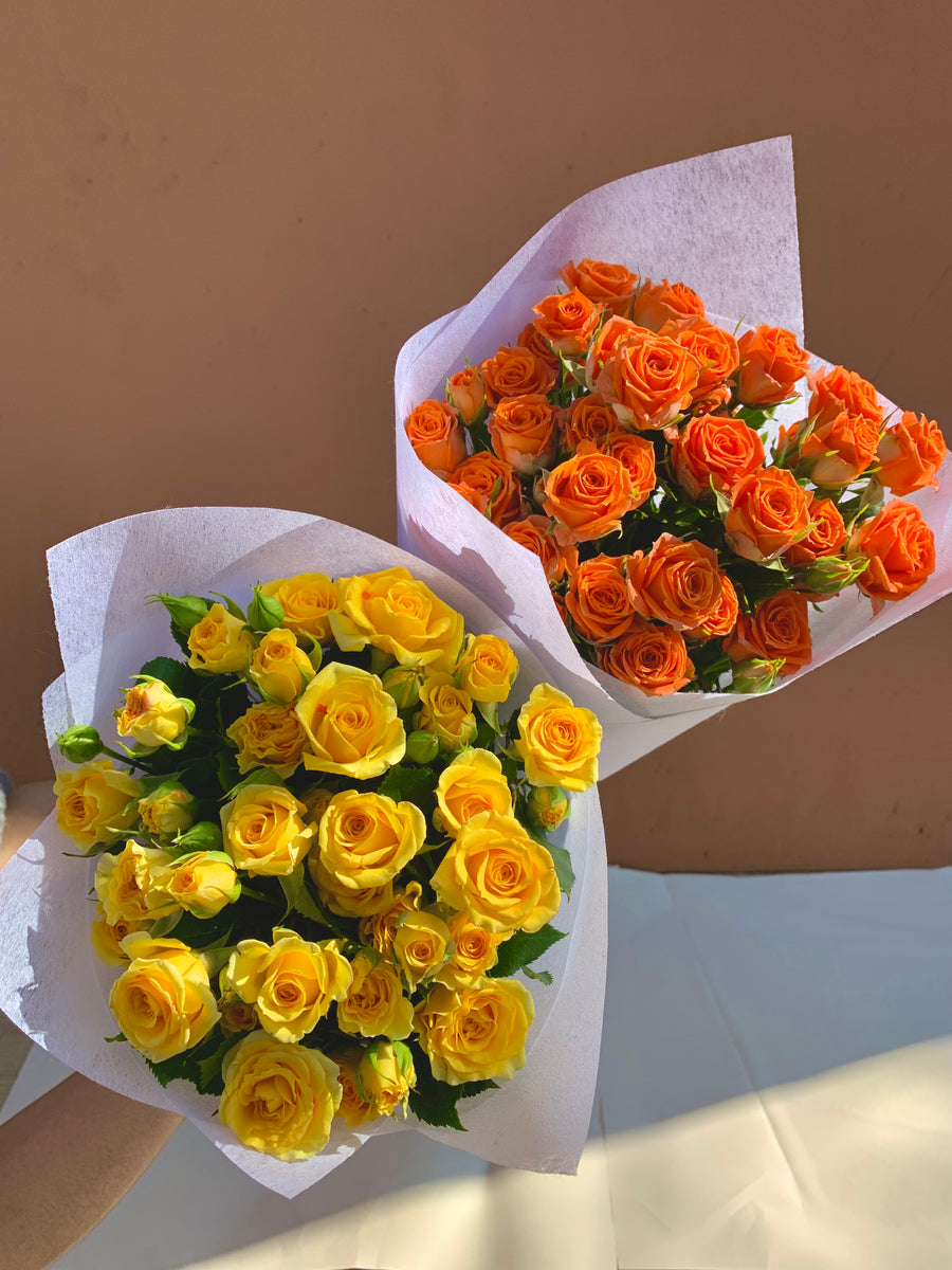 Mini Roses