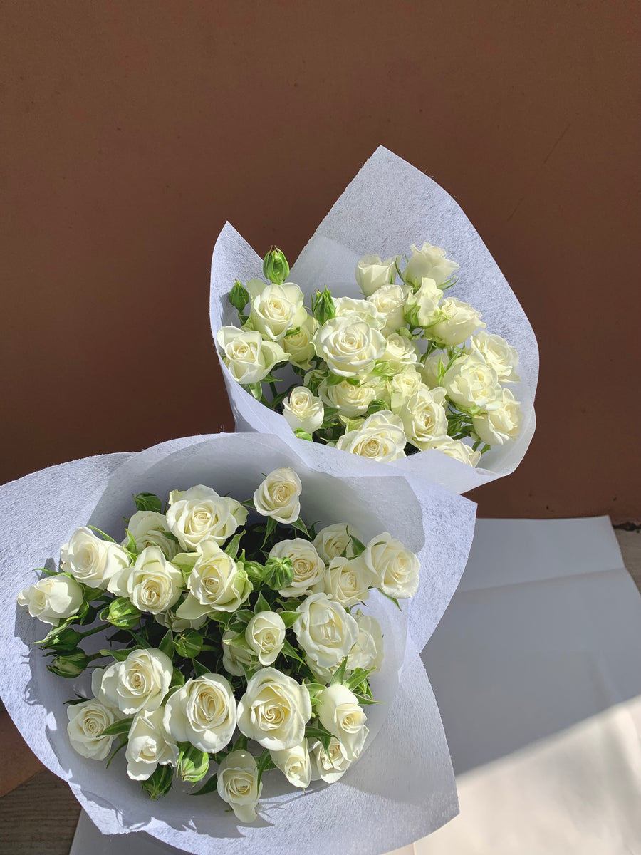 Mini Roses
