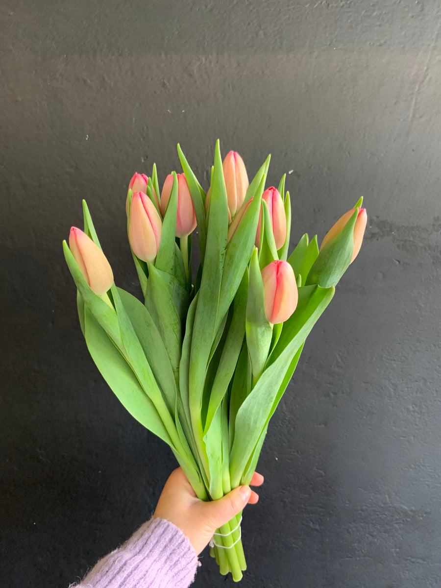 Local love tulips