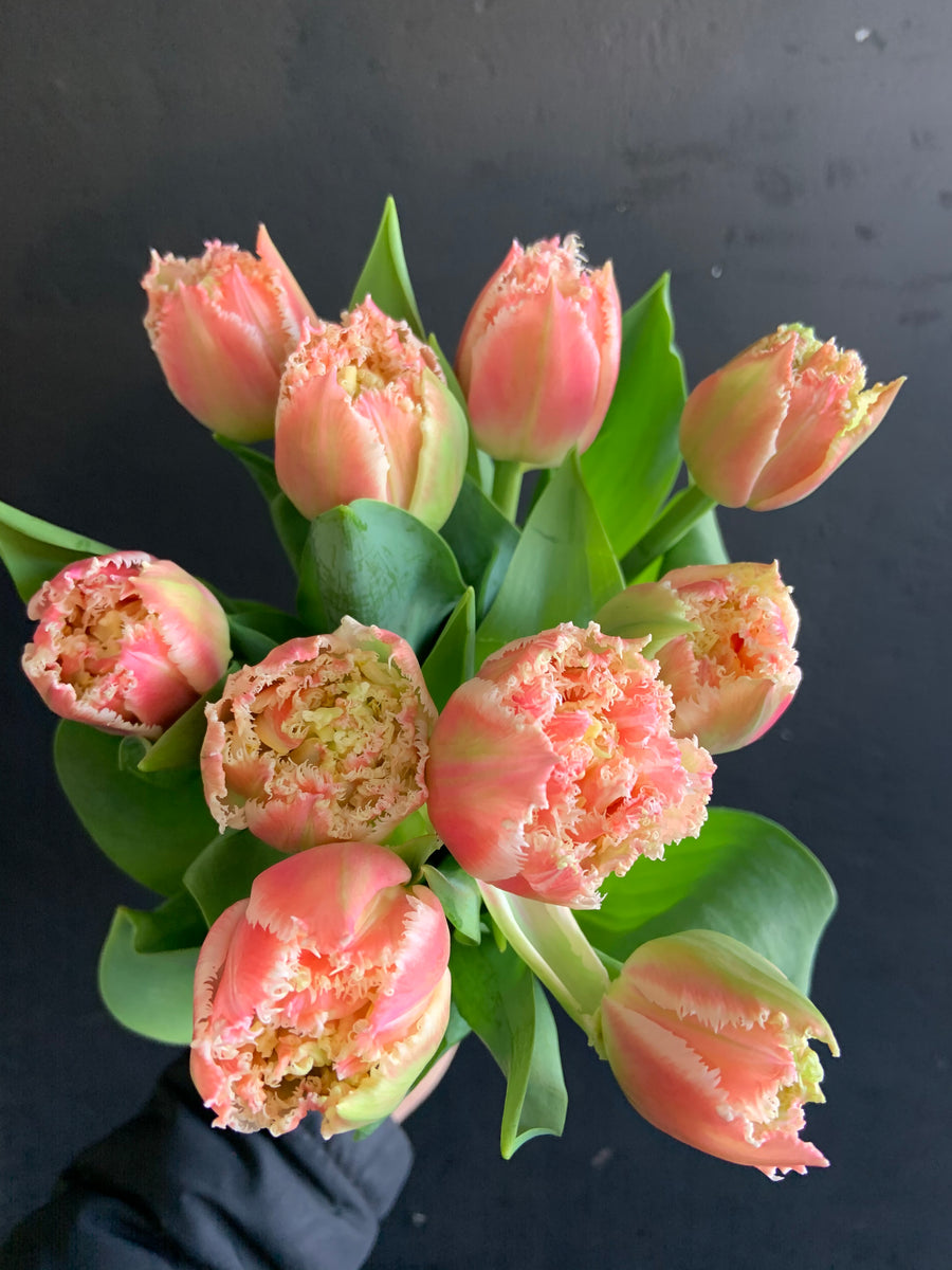 Local love tulips